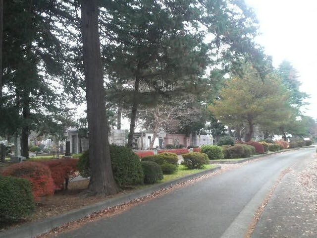 秋色の多磨霊園_多磨霊園