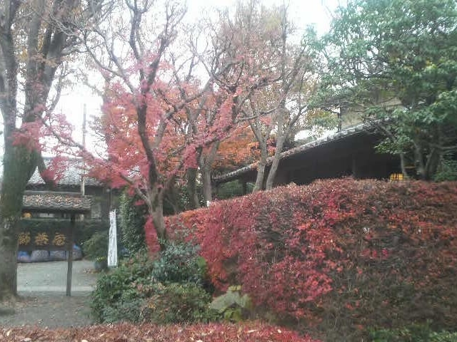 深大寺の大師茶屋の紅葉_大師茶屋