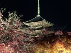 東寺(教王護国寺)の写真1