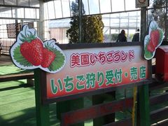 あかりんさんの美園いちごランドへの投稿写真1