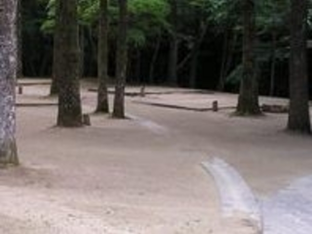 アクセルゼンカイさんの大滝山県民いこいの森キャンプ場の投稿写真1