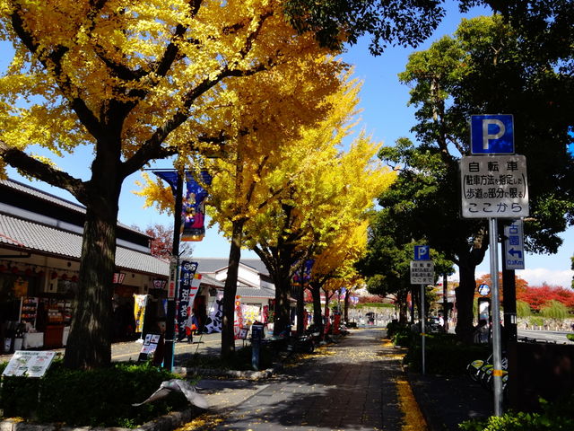 大手前通り西側歩道_大手前通り西側歩道
