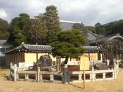 さとけんさんの熊谷直実鎧掛けの松の投稿写真2