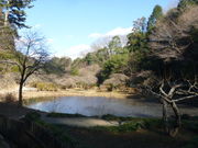 トシローさんの西山御殿庭園の投稿写真1