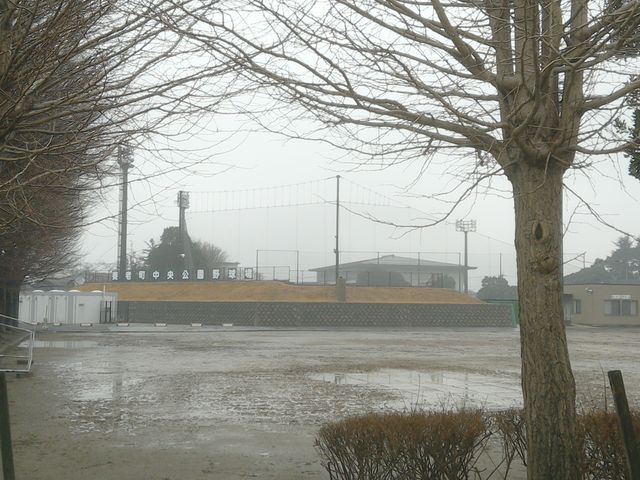 サビ猫さんの養老町中央公園の投稿写真3