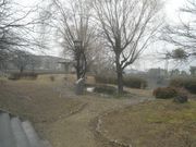 サビ猫さんの養老町中央公園の投稿写真1