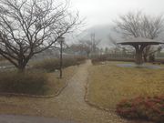 サビ猫さんの養老町中央公園の投稿写真2