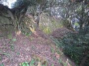 u-minさんの獅子城跡の投稿写真1