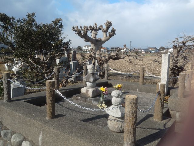 供えられたばかりの花がありました。_源義円の墓