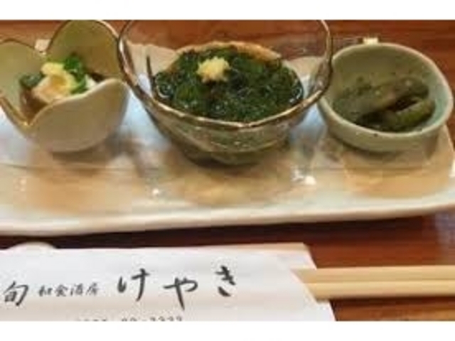 けやき_けやき