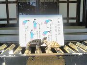 usaさんの香取神社(亀有)の投稿写真1
