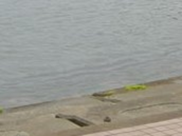 フルスピードさんの平舘海水浴場の投稿写真1