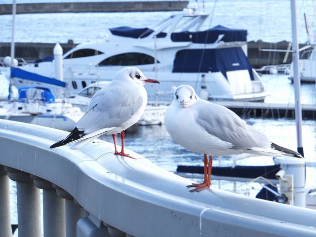 渚親水公園・ムーンテラス