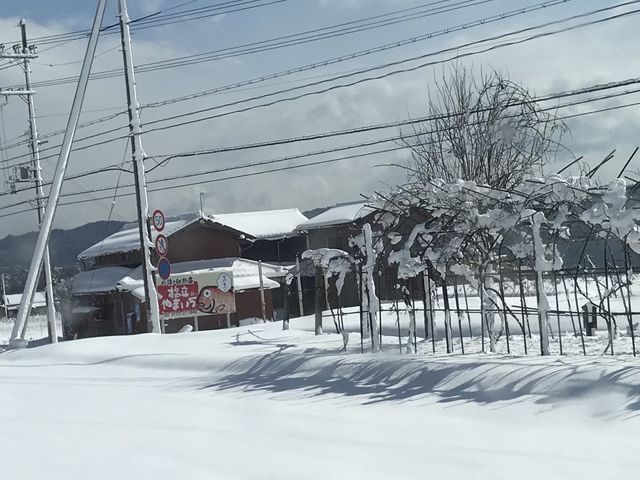 寒かった_丹後の鮮魚屋橋立やまいち
