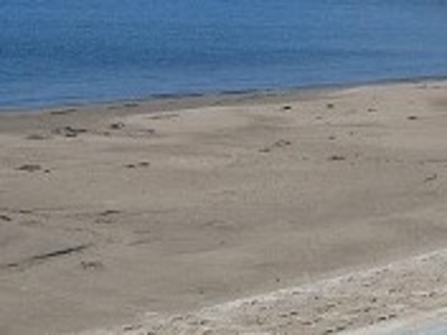 フルスピードさんのマグアビーチ公園の投稿写真1