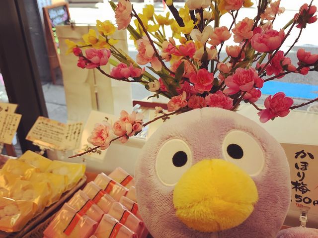 観光地のお土産屋さんも良いけど横浜からも品川も快速で隣の駅。お土産買いにおすすめします。_新岩城菓子舗