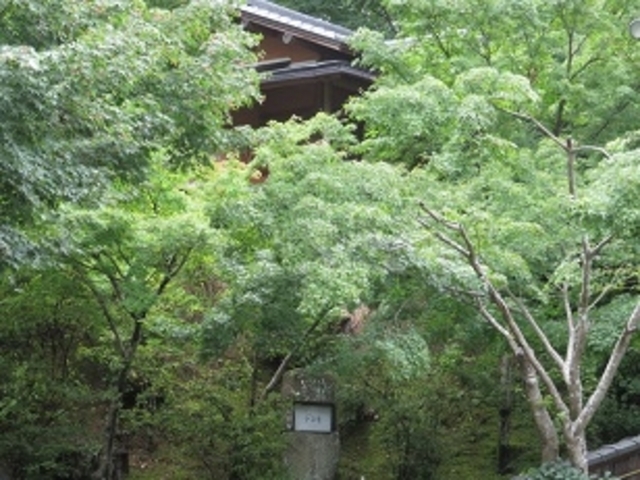 梦窓庵 紅葉が沢山ある駐車場_梦窓庵