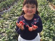 やま磯さんの小沢農園の投稿写真2
