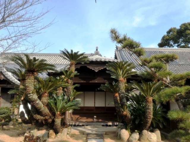 しちのすけさんの本蓮寺の投稿写真1