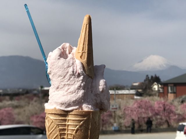 【小田原牧場アイス工房】前景にアイス、向こうに梅林、そして富士山_小田原牧場アイス工房