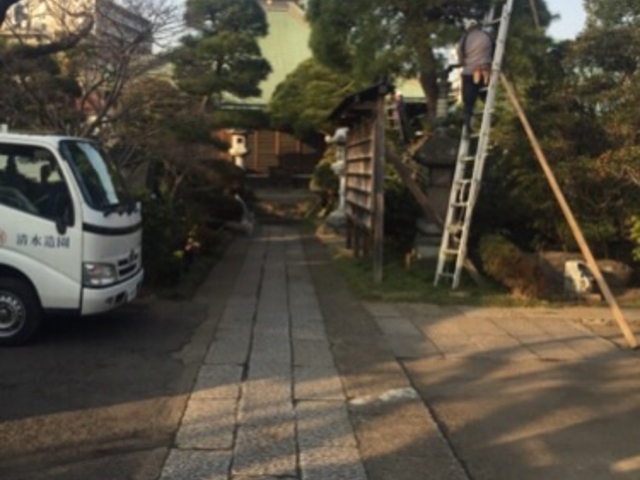 境内です。_光増寺