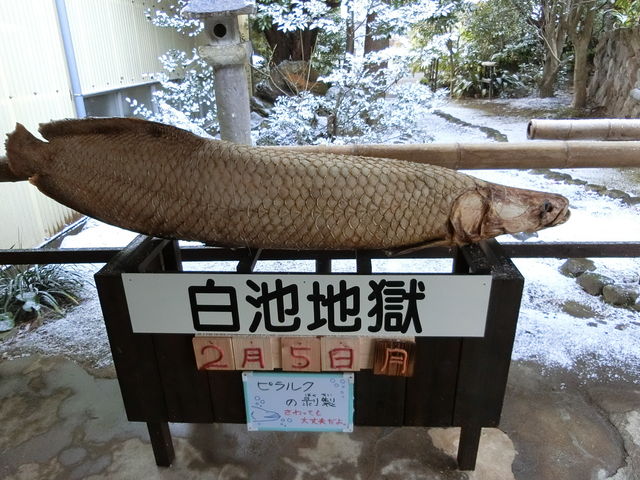 よくわからない??_白池地獄