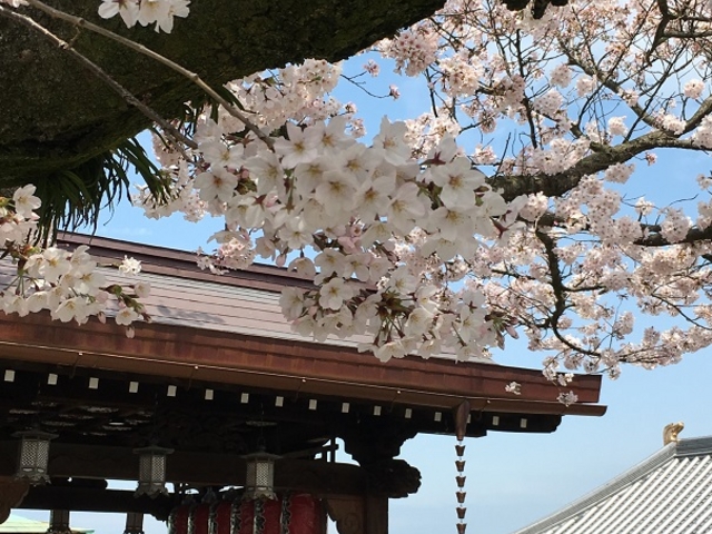 本堂横から瀬戸大橋方面の眺望_郷照寺(四国霊場八十八ヶ所第78番札所)