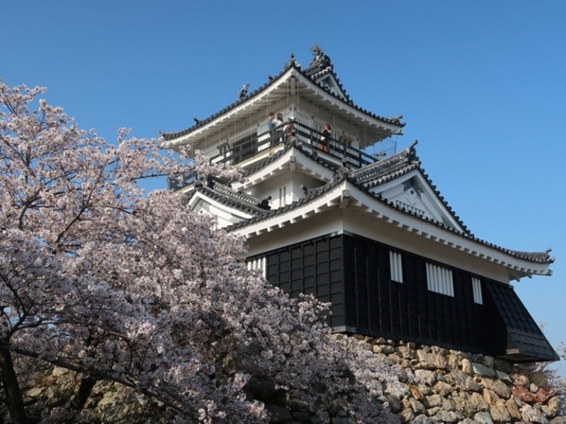 天守閣_浜松城天守閣