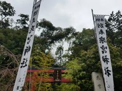 川津来宮神社(杉桙別命神社)の写真1