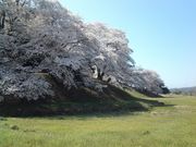 のほほん気分さんの七輿山古墳の投稿写真1