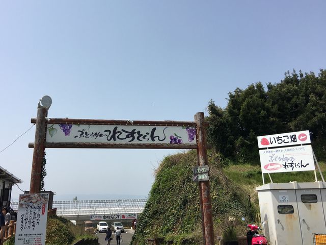ぶどう畑のれすとらん入り口_おおむら夢ファーム シュシュぶどう畑のれすとらん