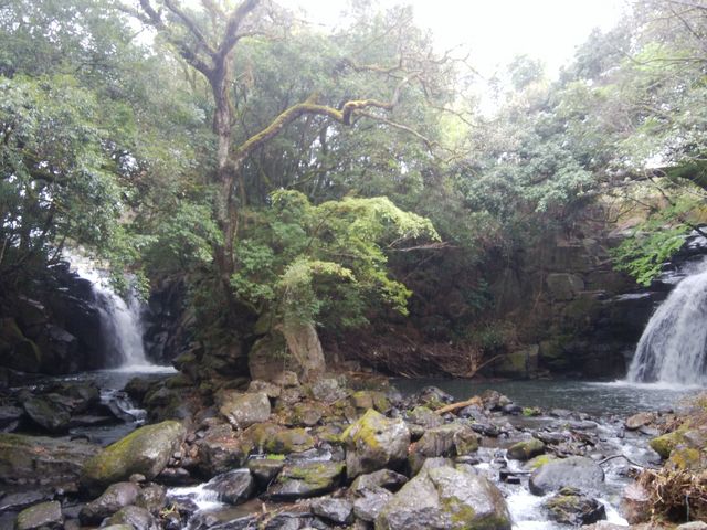 夫婦滝_夫婦滝(熊本県南小国町)