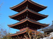 こたぴさんの志度寺の投稿写真2