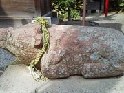 べこ吉さんの伊砂砂神社の投稿写真5