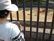 まんじゅうさんの水海道あすなろの里の投稿写真1