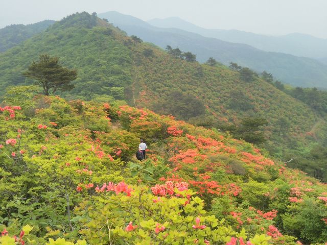 yuさんの徳仙丈山(本吉側)の投稿写真1