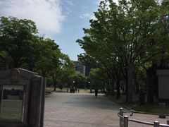 ともさんの天神中央公園への投稿写真1