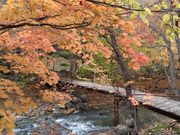 bloeさんの大船渓谷の投稿写真1