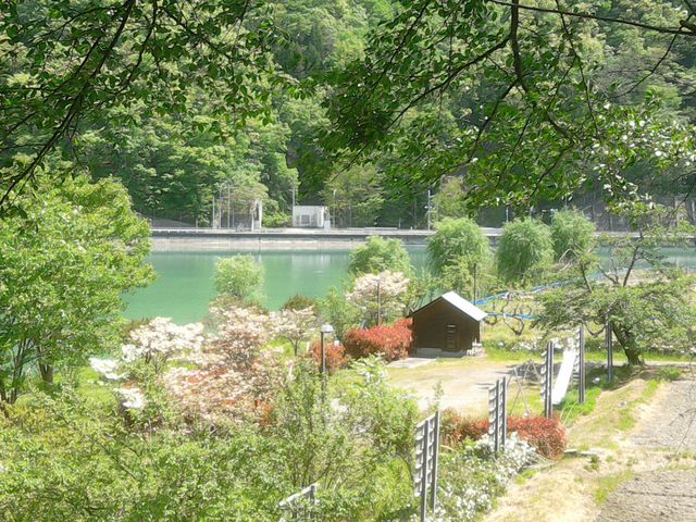 サビ猫さんの東京電力生坂ダム湖の投稿写真1