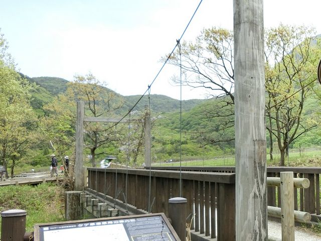 2018,5,5 橋を渡って散策へ_長者原ビジターセンター