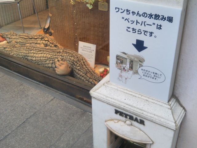 『ペットバー(ペットの水飲み場)。』_キタムラ元町本店