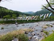 こぼらさんの方須の桜並木の投稿写真2