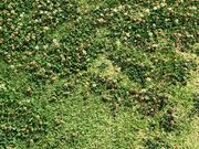 ぴーのさんのくいなエコ・スポレク公園の投稿写真1