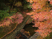 JOEさんの竜門峡の投稿写真1