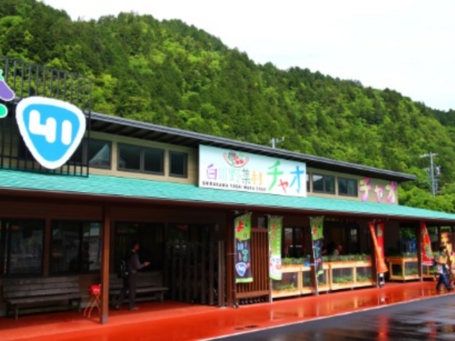 場所が変わり、できたばかりのきれいな建物になりました_白川育ち野菜村チャオ