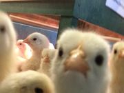 しなちゃんさんのMoff animal world BIGHOPガーデンモール印西店の投稿写真1