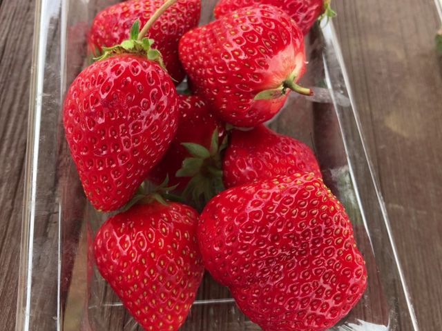 大きくて美味しそう♪_田村農園
