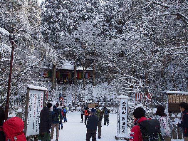 岳さんの樹氷(金剛山)の投稿写真1