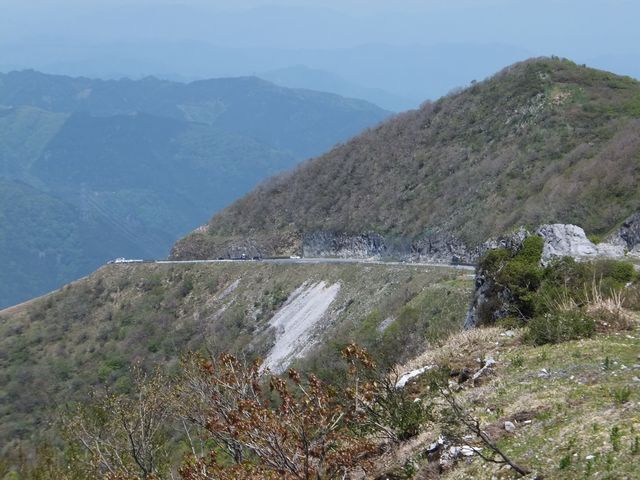伊吹山ドライブウェイ