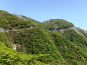 こぼらさんの伊吹山ドライブウェイの投稿写真1